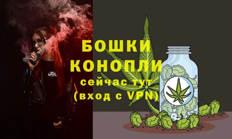 Бошки Шишки White Widow  Дно 